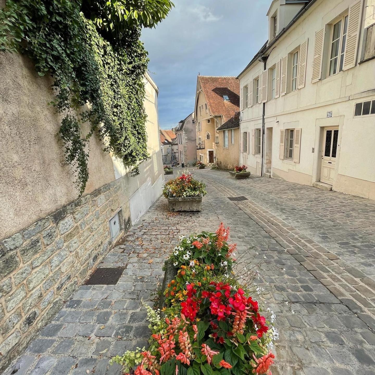 Ferienwohnung Le Pigeonnier Centre Historique Auxerre Exterior foto